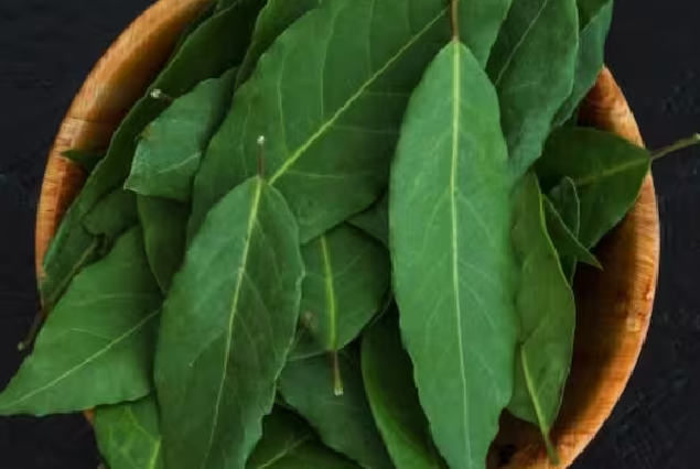 These diseases can be cured by consuming tender neem leaves at this time.