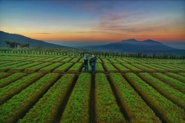 10 Wisata Alam Eksotis di Batu Malang yang Menakjubkan!
