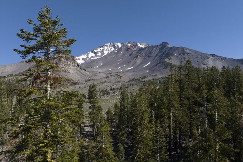 Father-son duo kidnapped US Forest Service workers, held them hostage, feds say