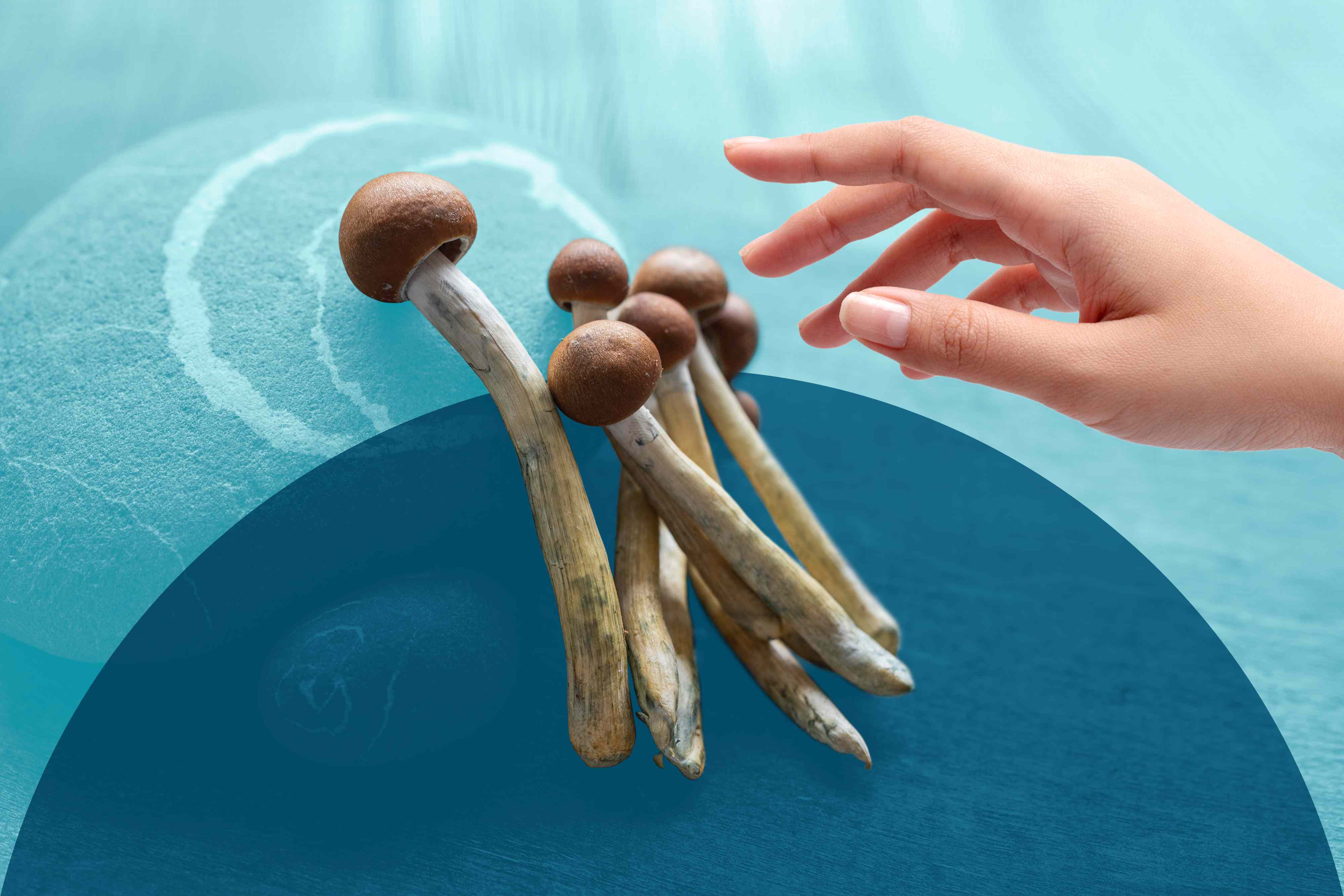 Medicinal, non-psychedelic mushrooms may benefit depression symptoms, although more study is needed.