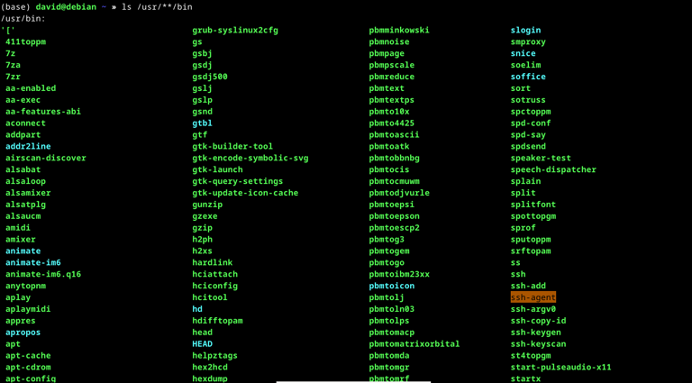 How to Use Wildcards in the Linux Terminal to List Files