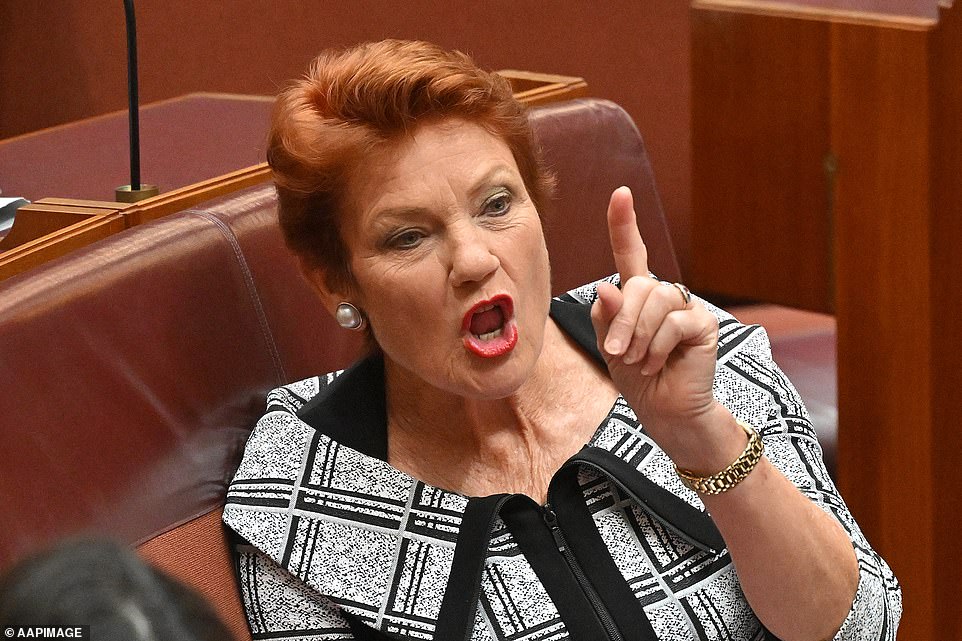 Pauline Hanson's latest announcement sparks major controversy