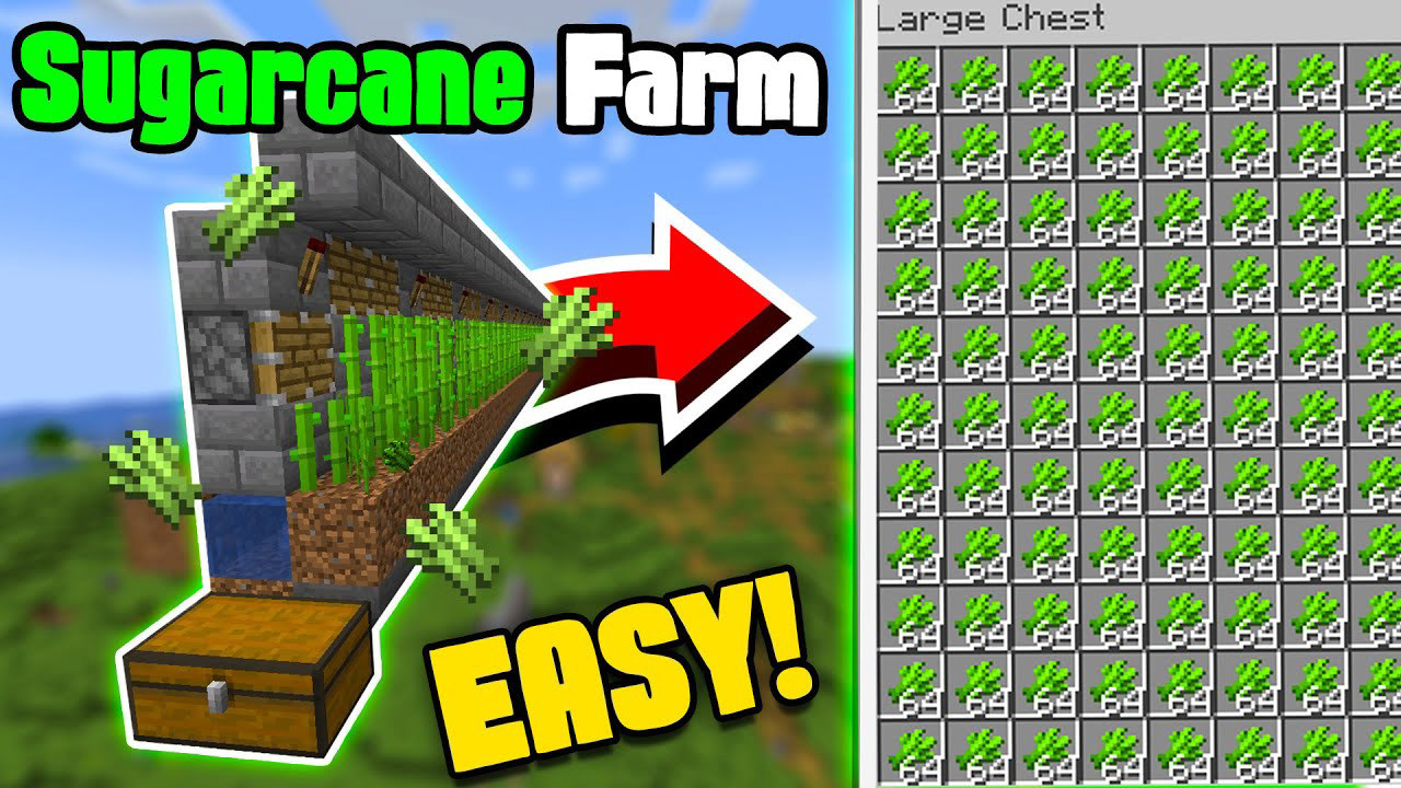 Easiest Automatic Sugar Cane Farm Minecraft 1 21  (Java Bedrock) Easiest Automatic Sugar Cane Farm Minecraft 1 21  (Java Bedrock)