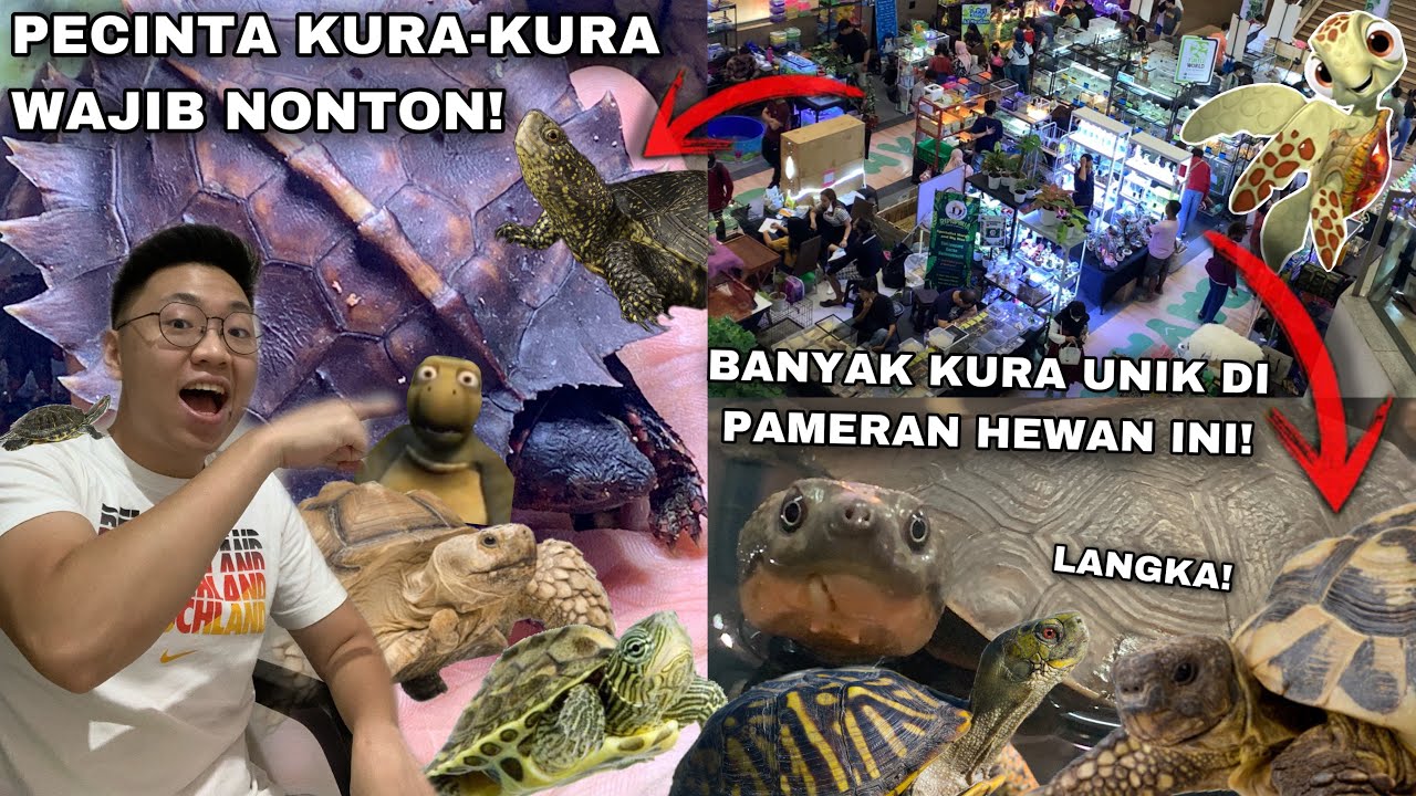 Pameran Hewan dengan KuraKura Unik & Langka