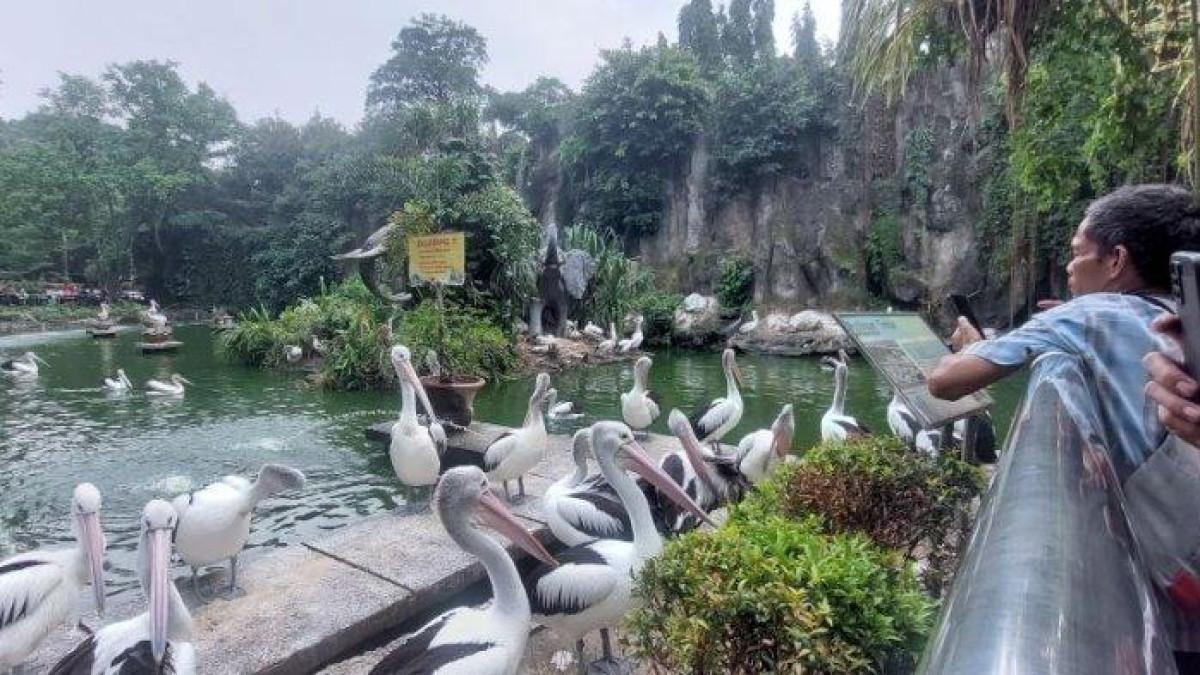 Panduan Perjalanan Bogor ke Ragunan dengan KRL dan JakLingko, Hanya Rp16 Ribu
