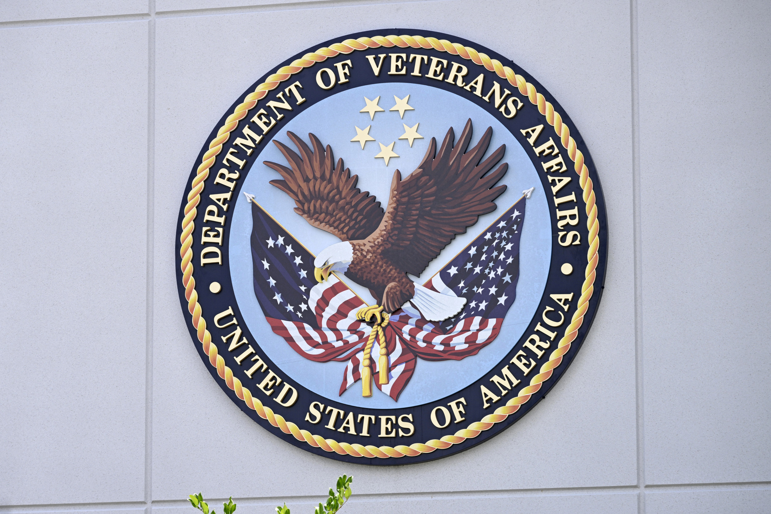 VA announces $800 million boost for veterans VA announces $800 million boost for veterans