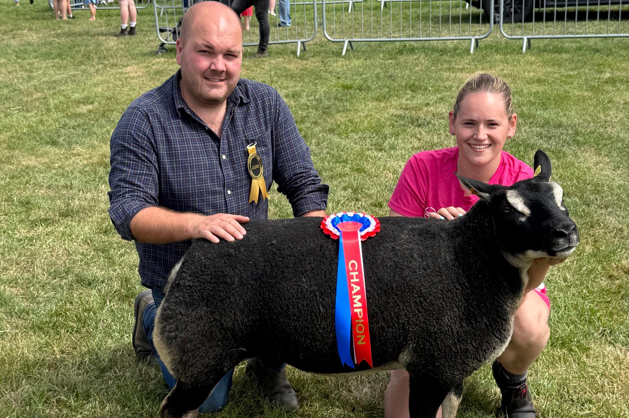 Lowri Williams unveils the key secrets to pedigree sheep success