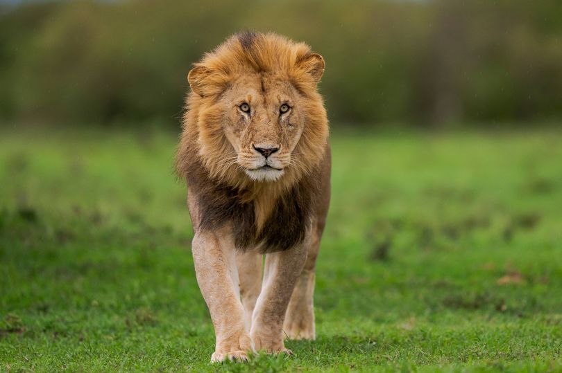 Easy 15 Second Test With Three Questions Tells You A Lot About Your