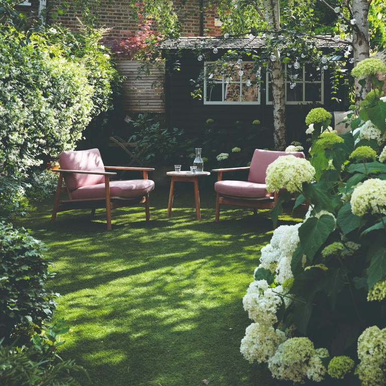Your hydrangeas will reward you with stunning summer blooms if you stop ...