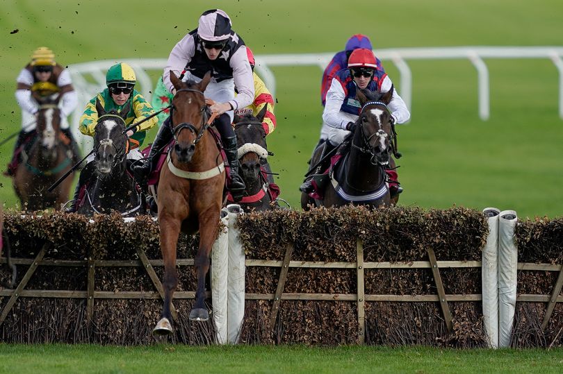 'The stable could have a hatful of winners at Cheltenham' – Jason ...