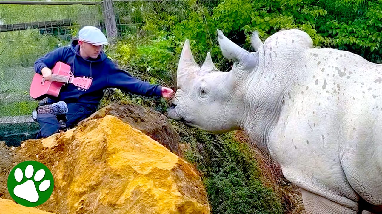 Man tries singing for animals and the response is overwhelming<br><br>