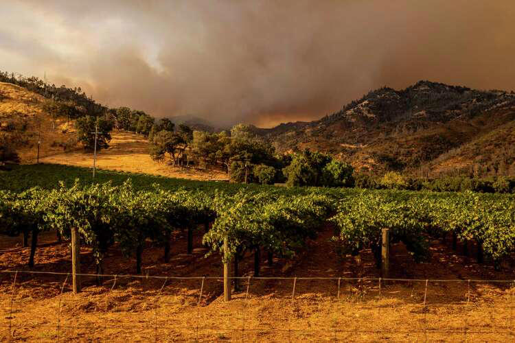Smoldering ashes at Napa vineyard seen as possible cause of Pickett Fire