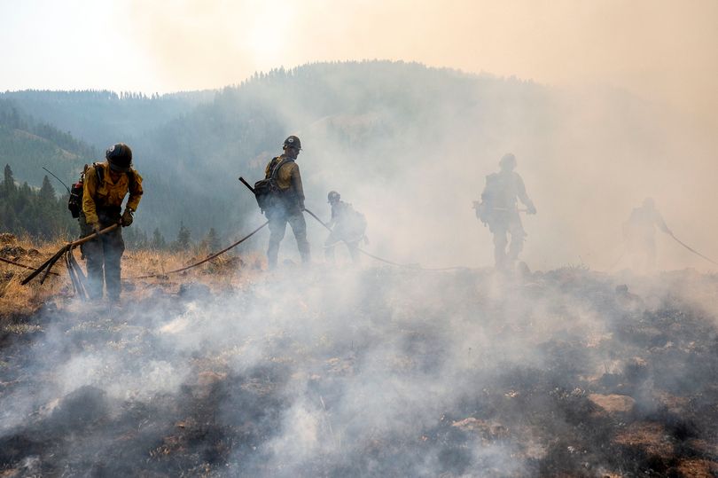 Two Washington State firefighters arrested by Border Patrol agents