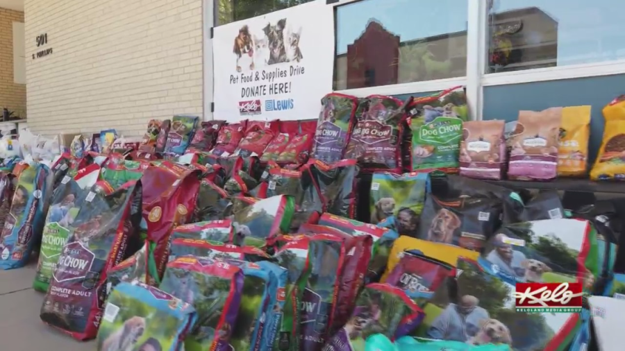 KELOLAND Pet Food Drive to help rescue pets in SF