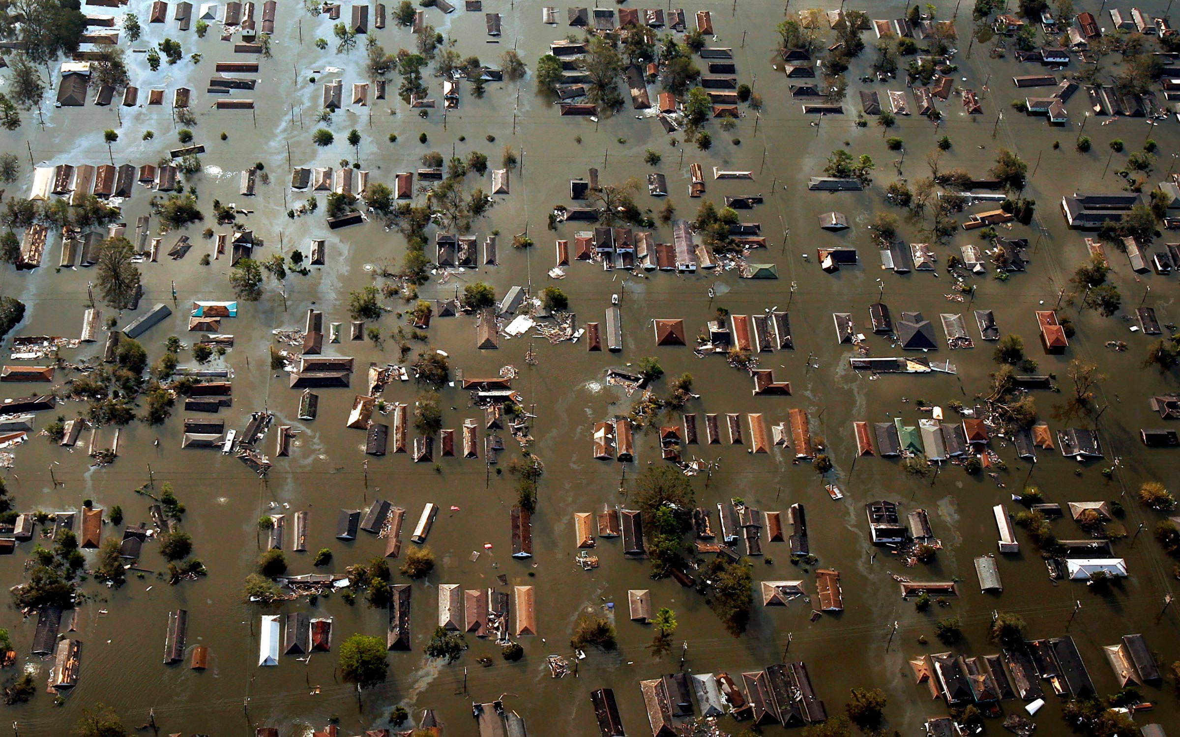 I Gave Birth During Hurricane Katrina I Gave Birth During Hurricane Katrina