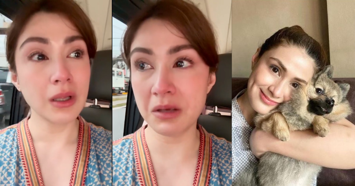Carla Abellana in tears after picking up run-over aspin to bury it: 'It's  the least I could do'