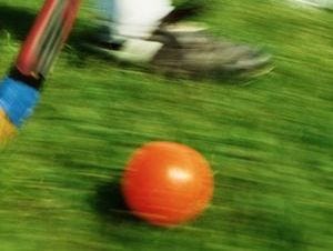 Whitney Point, Vestal, Windsor advance to NYSPHSAA championship games