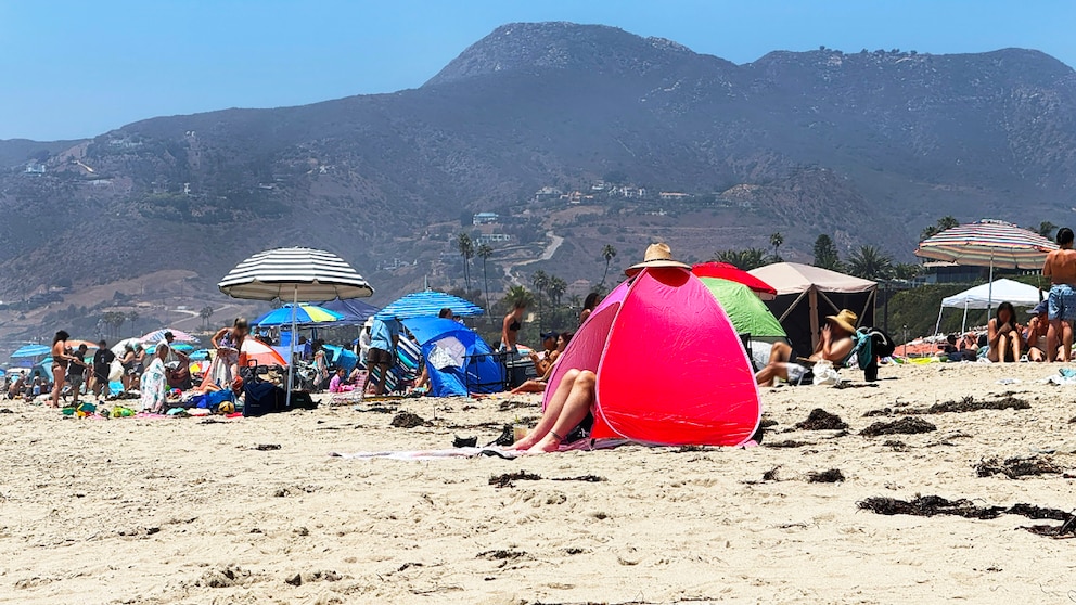 Beachgoers at Beach Sprawling