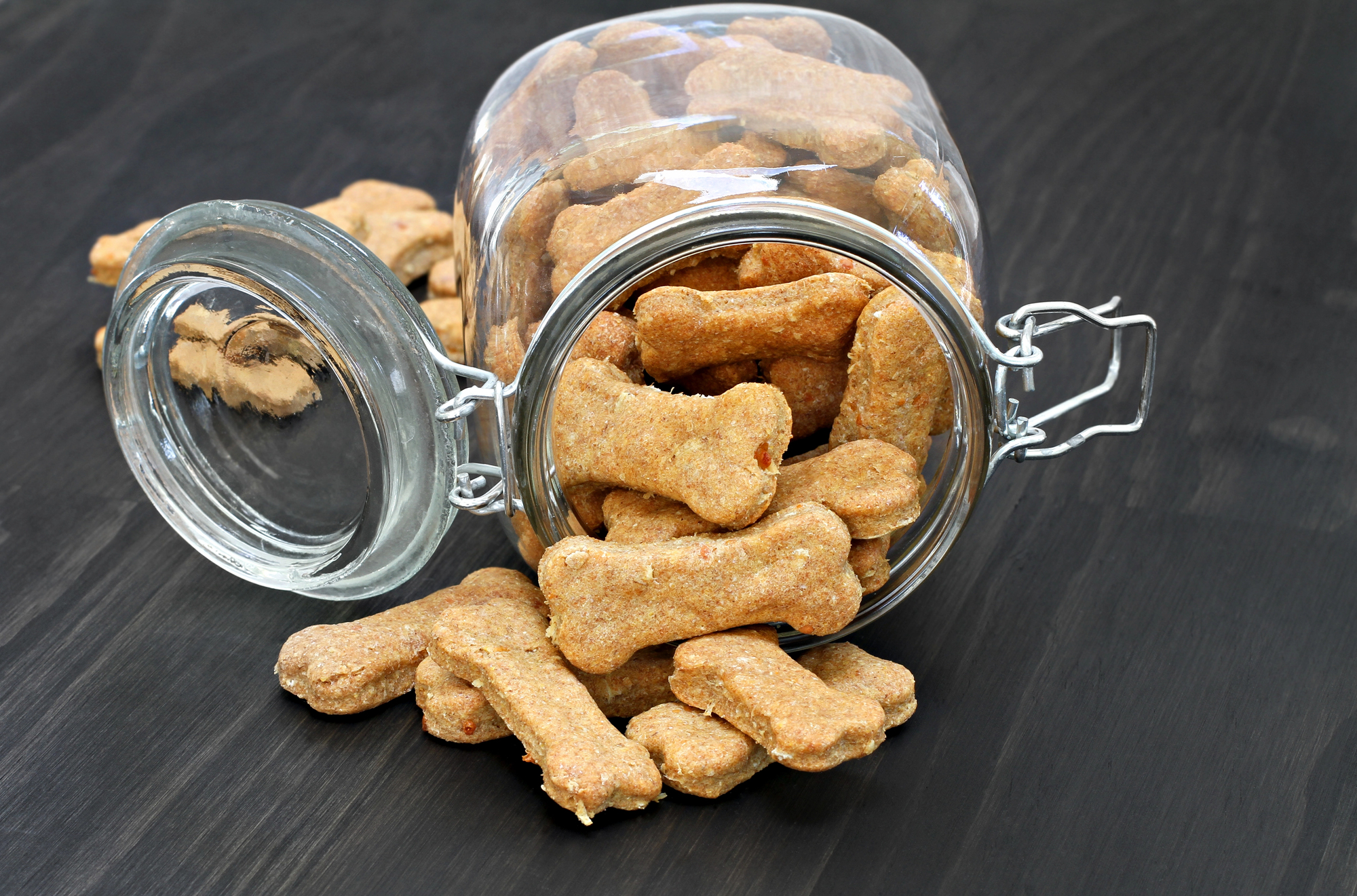 15 Homemade Pet Treats to Try