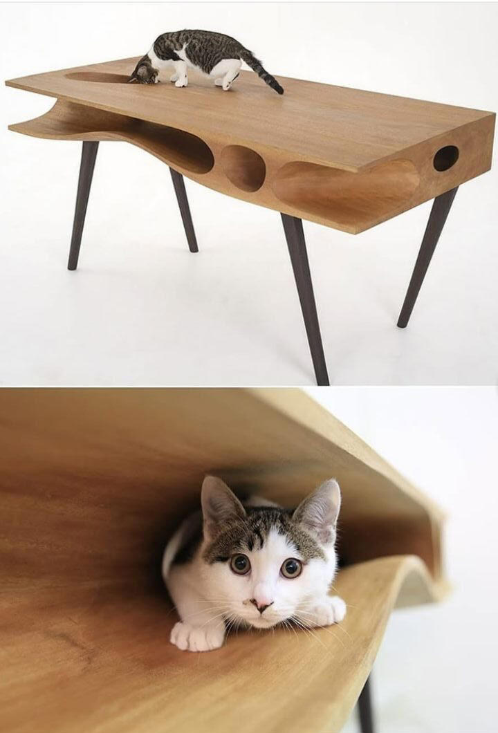 CATable the table that is both furniture and a playground for cats
