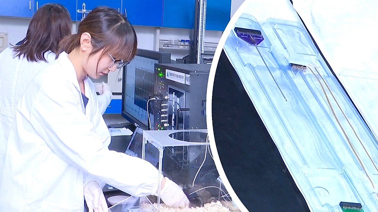 China achieves breakthrough in brain-computer interface for tumor ...