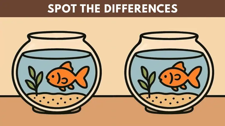 Only 1 Out of 20 Can Spot the 3 Differences Between Fishbowl Pictures ...