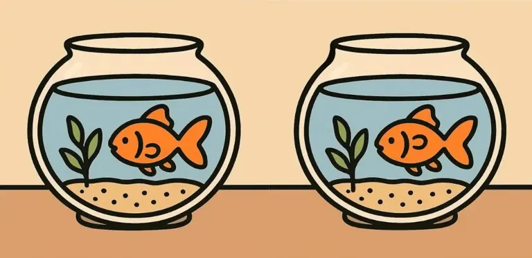 Only 1 Out of 20 Can Spot the 3 Differences Between Fishbowl Pictures ...