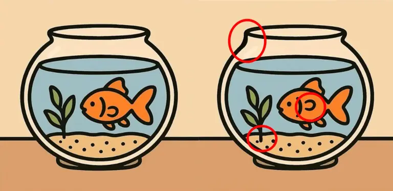 Only 1 Out of 20 Can Spot the 3 Differences Between Fishbowl Pictures ...