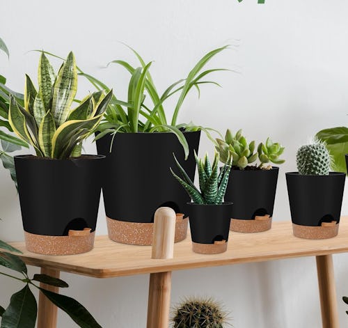 60 bougie-ass things that are so cool & so cheap on Amazon