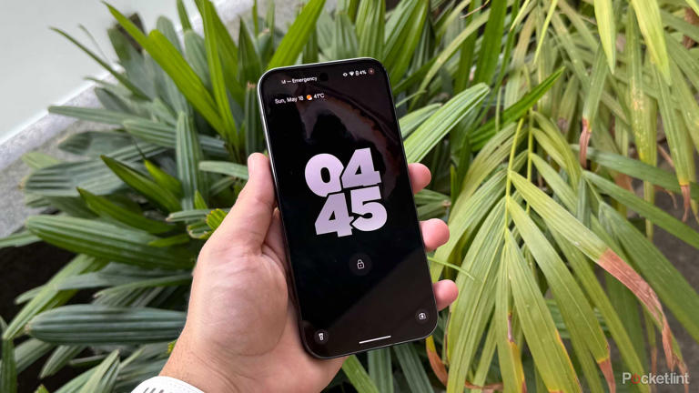 A Pixel 9 Pro with Battery Saver enabled, in front of green leaves.