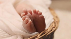 US: 2-Year-Old Dies After Fall From 20th-Story Window Of New Jersey ...