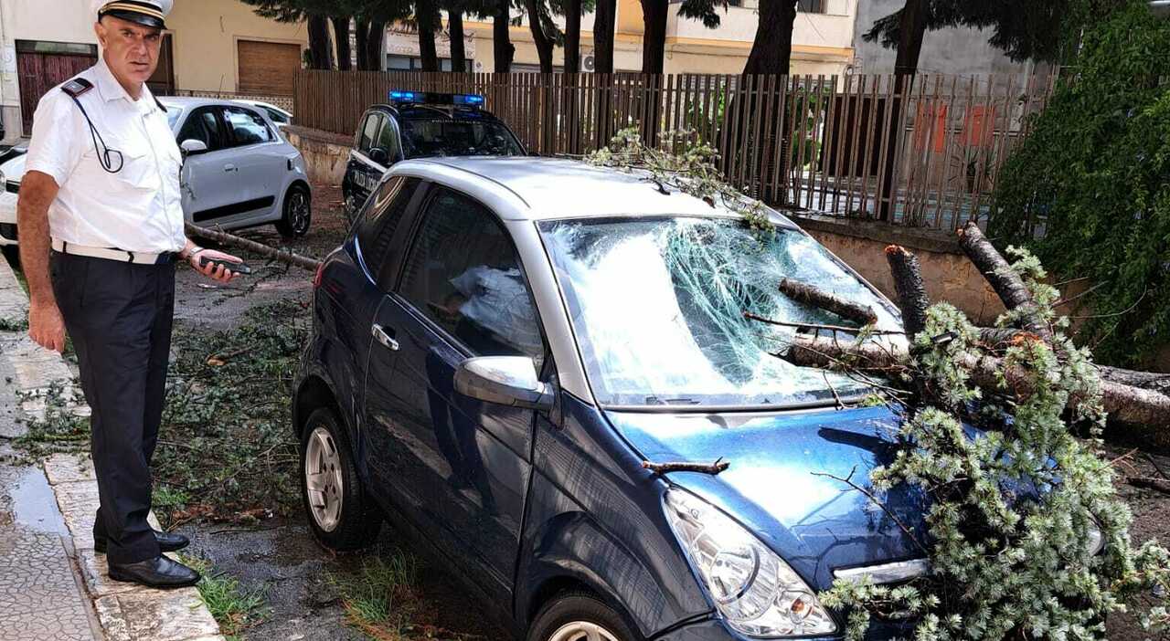 TapeManBlue Involucro da collisione, 91,4 x 30,5 m, trasparente per auto danneggiate, rimuove in modo pulito, prodotto negli Stati Uniti