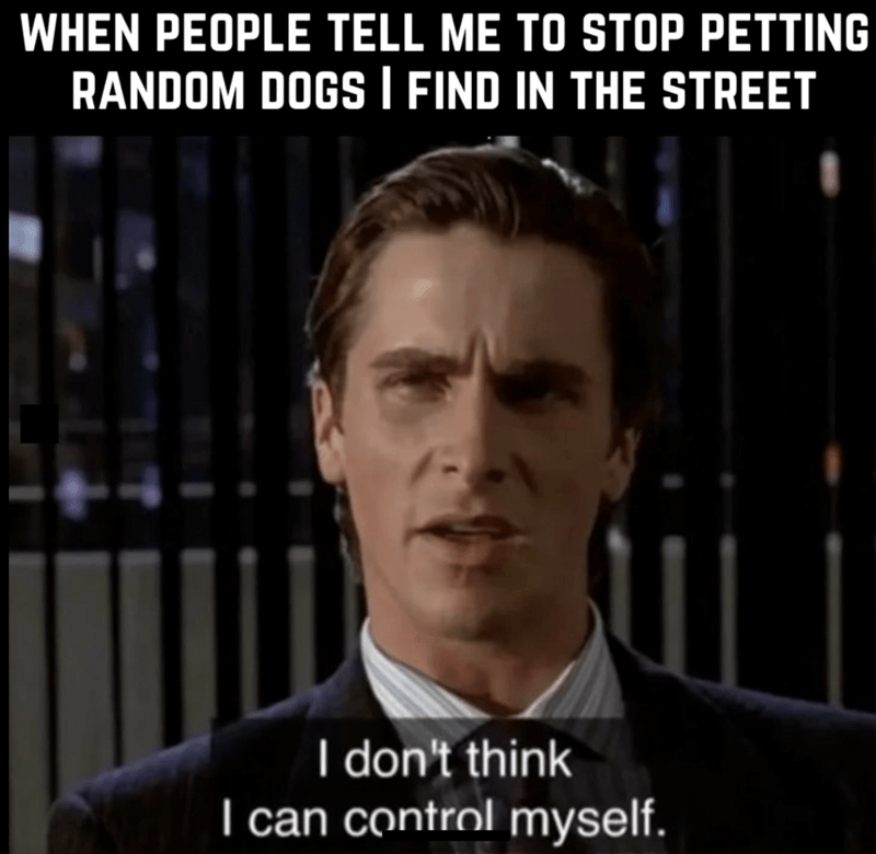 'Calling all fellow howlarious pet parents:' Get your dog's tail