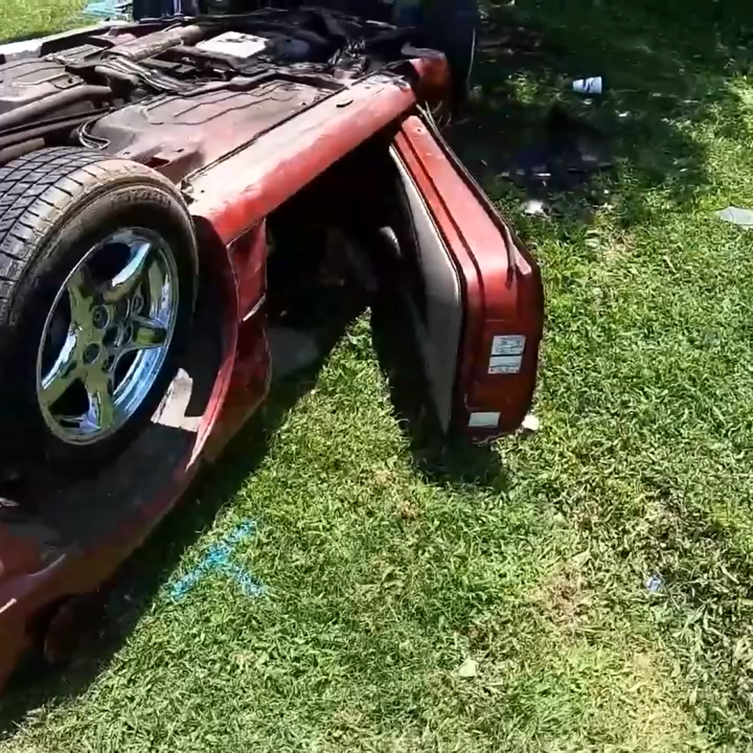 Flattened Firebird A Tough Recovery!