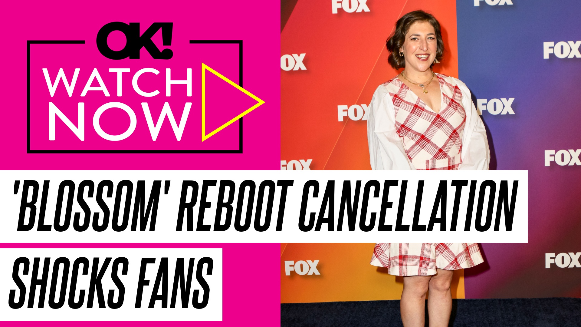 Mayim Bialik Reveals Heartbreaking News About 'Blossom' Reboot 'This