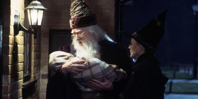 Harry Potter and the Sorcerer's Stone Is Still the Closest Thing to a ...