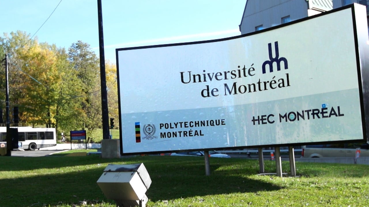 Quebec universities sound the alarm over plummeting international