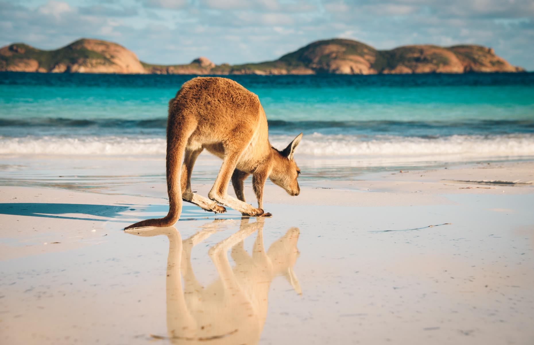 Weekend road trips across Australia perfect for a quick getaway