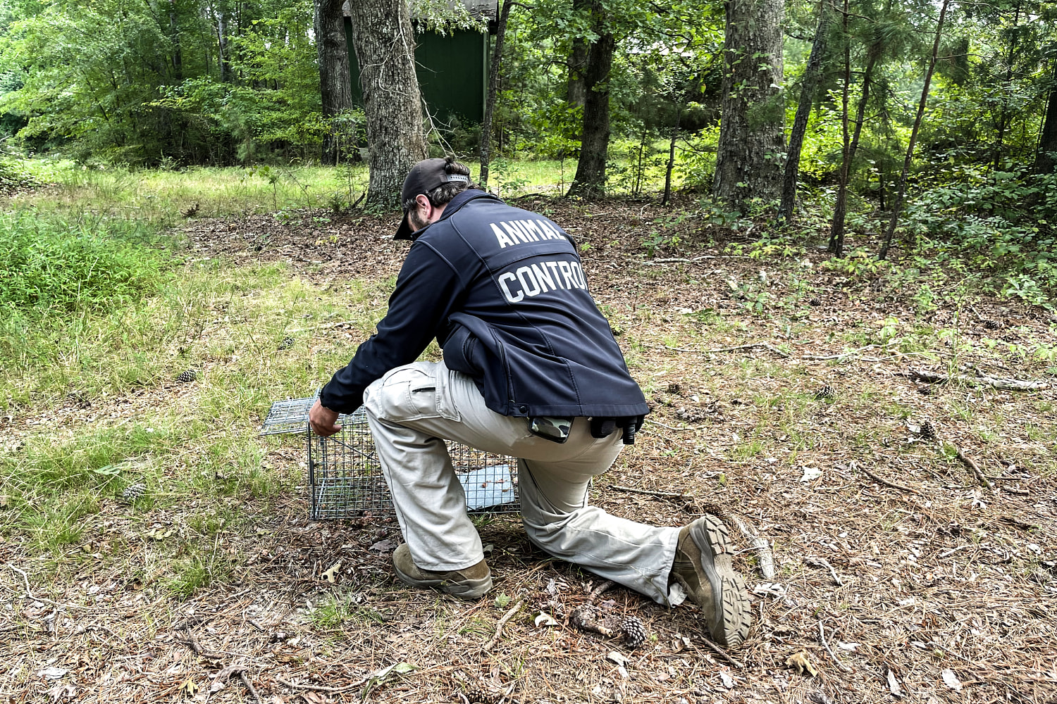 In North Carolina, Franklin County Animal Control sets trap in an area where a rabid skunk was found. (Marina Kopf / NBC News)
