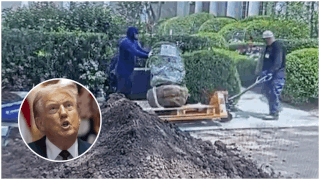 ‘We caught them, cold’: Donald Trump blasts workers for Rose Garden