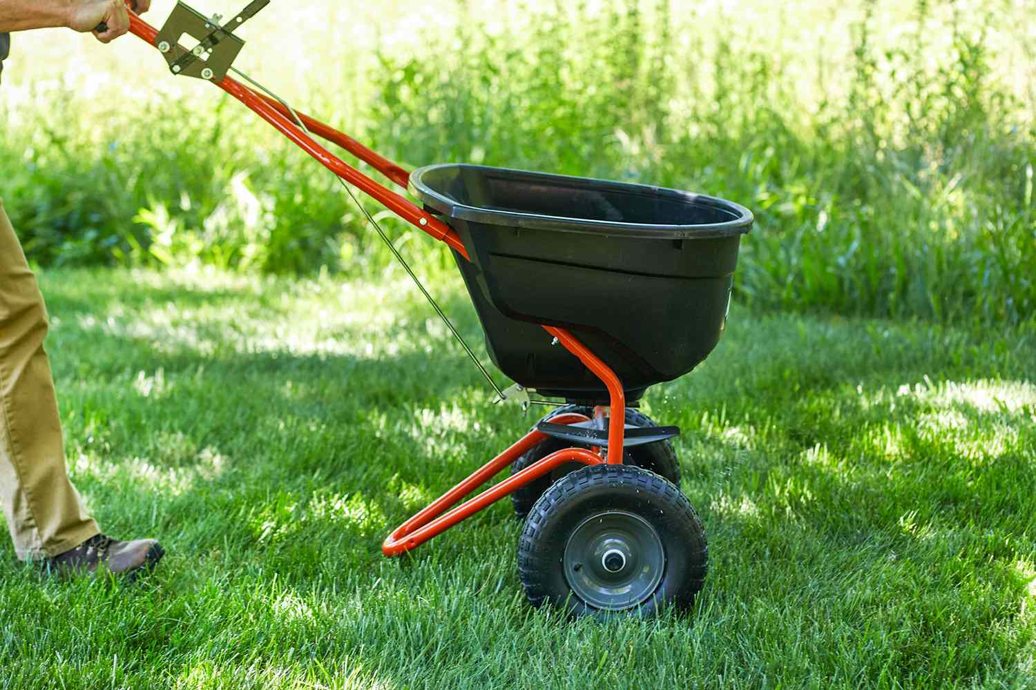 Overseeding for a Thicker Lawn? Fertilizing Too Soon Could Wreck It