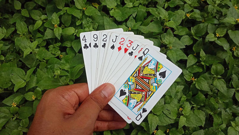 Карточные игры, такие как рамми, исторически не классифицировались как азартные игры в Индии, даже если в них играют на деньги. Фото: Shutterstock