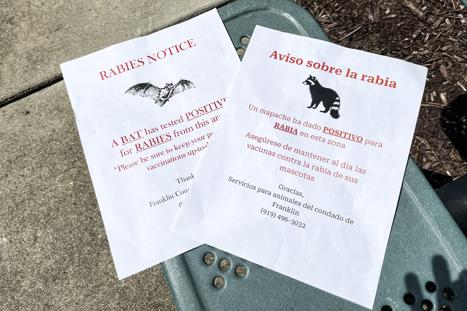 Flyers passed out in Franklin County North Carolina where a raccoon and bat tested positive for rabies. (Marina Kopf / NBC News)