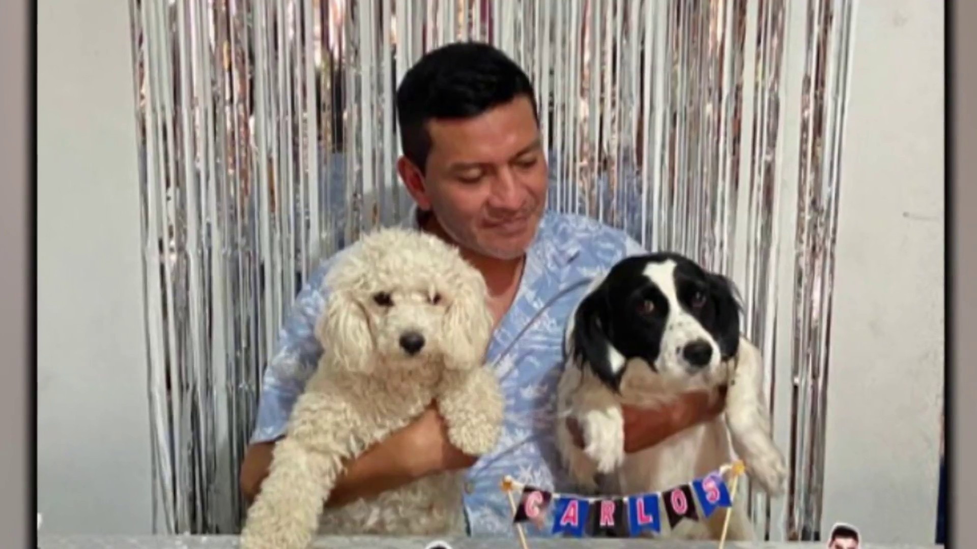 Dog Appears to Defuse Dynamite Thrown Near Journalist’s Home