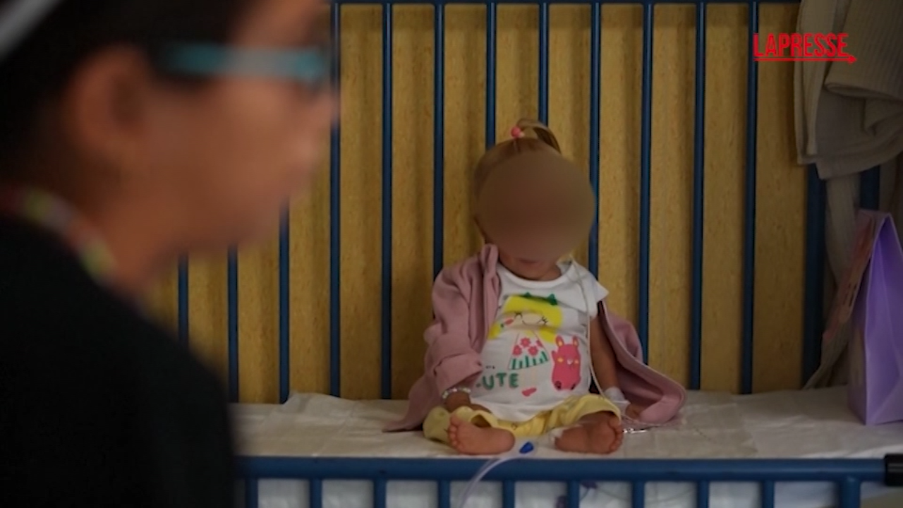 Gaza, la storia di Shamm: a due anni gravemente malnutrita e sfollata ...