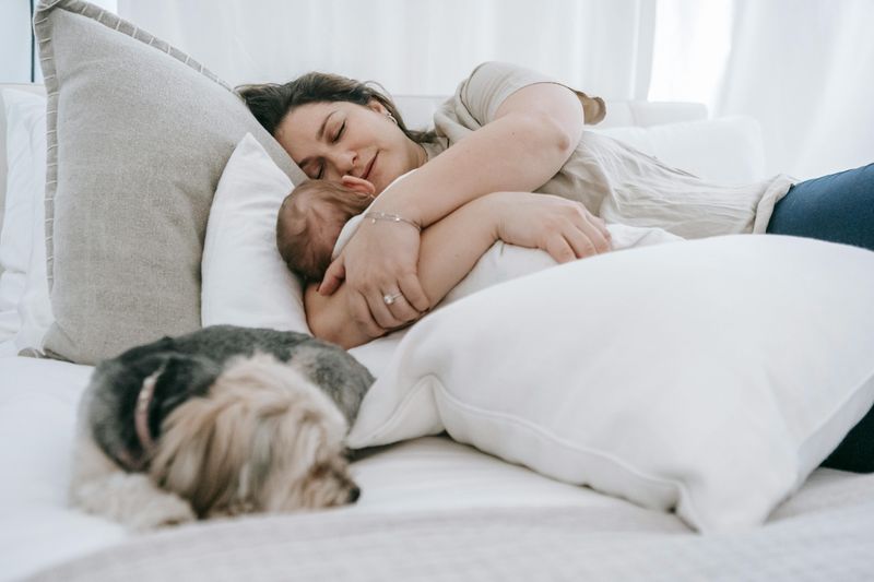 9 Clear Signs Your Dog Trusts You