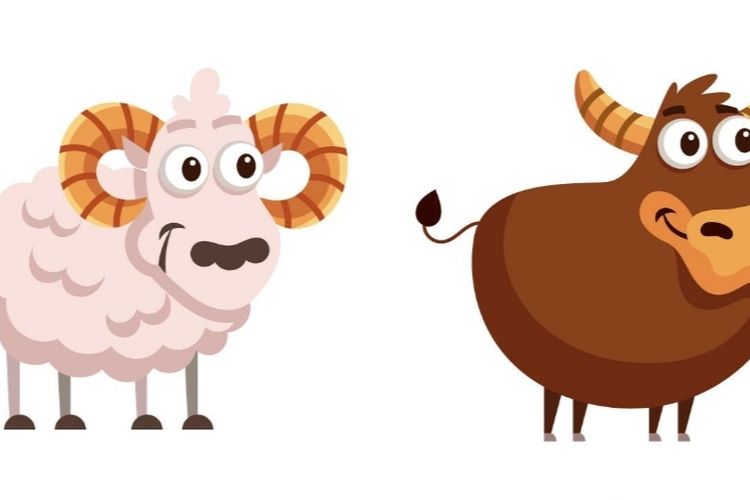 Ramalan Zodiak Aries dan Taurus 24 September 2025: Cinta, Karir, Kesehatan, dan Keuangan