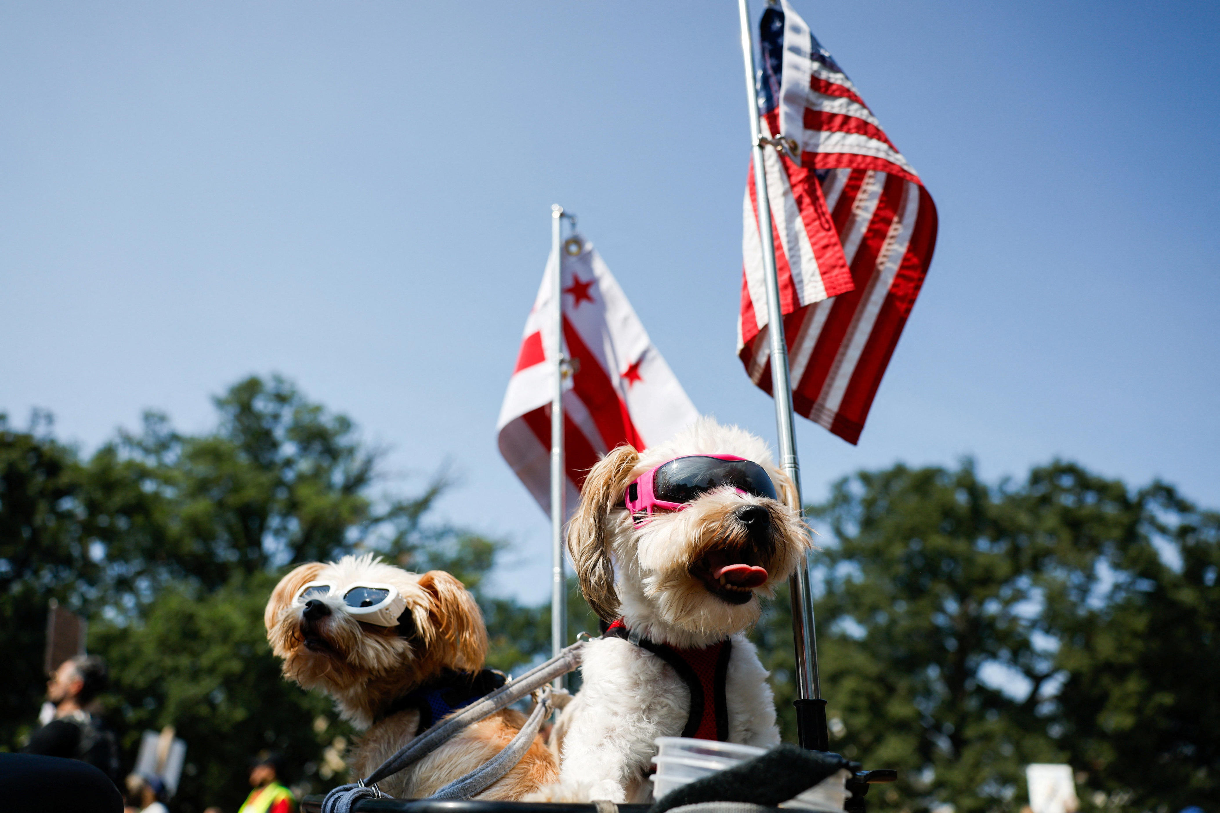 Washington DC rallies in protest of Trump's federal troops. See photos.