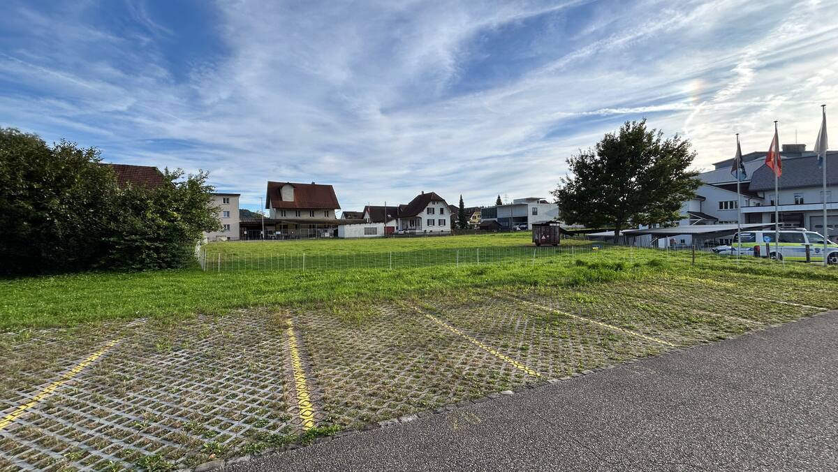 Rätselhafter Fall in Rupperswil AG: Acht Schafe von Weide verschwunden ...