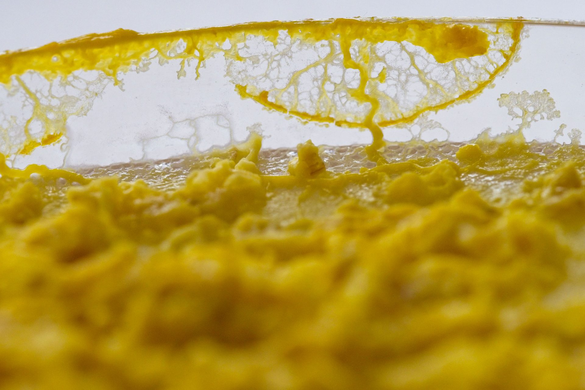 Eten zonder mond of maag